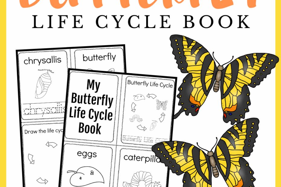Butterfly Life Cycle Printable Book Fun Learning Butterfly Life