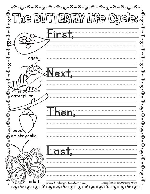 Butterfly Life Cycle Printables Kindergarten Mom Vrogue co