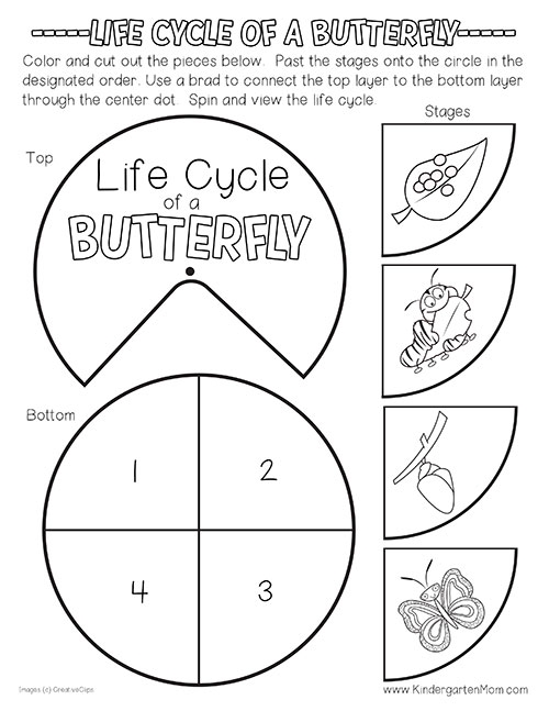 Butterfly Life Cycle Printables Kindergarten Mom Butterfly Life Cycle Printables Kindergarten Mom