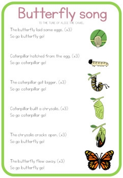 Butterfly Life Cycle Song By Little Blue Orange TpT
