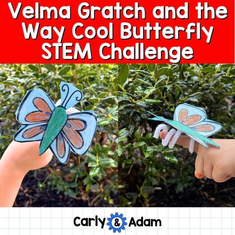 Butterfly Life Cycle STEM Activity Carly And Adam Butterfly Life Cycle STEM Activity Carly And Adam