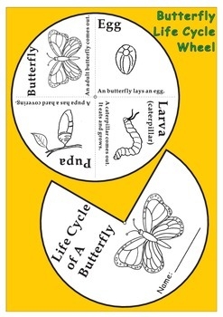 Butterfly Life Cycle Wheel By Rick 39 s Creations TpT Butterfly Life Cycle Wheel By Rick 39 s Creations TpT