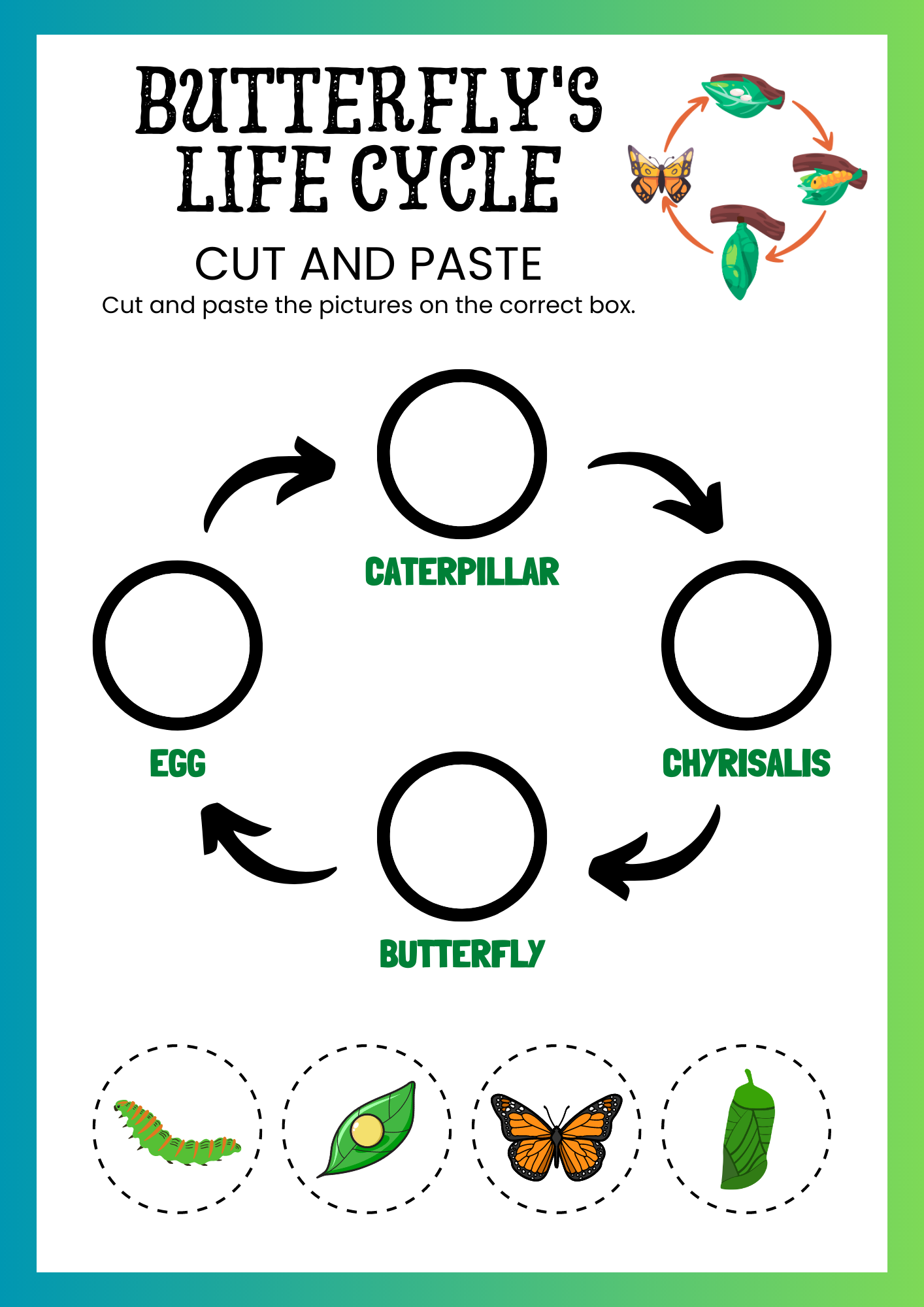 Butterfly Life Cycle Cut Out