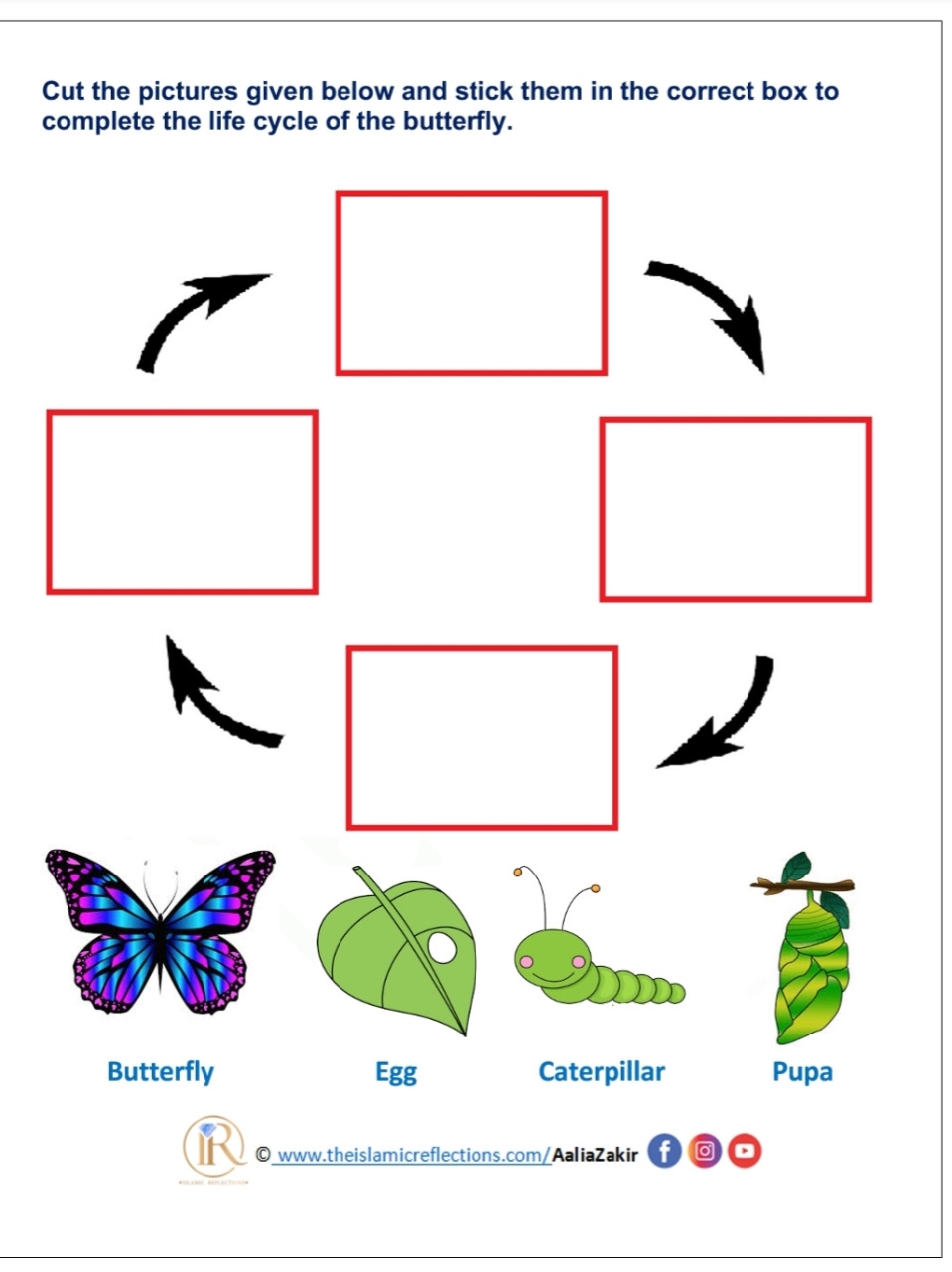 Butterfly Life Cycle Stages Worksheet Butterfly Life Cycle Stages Worksheet