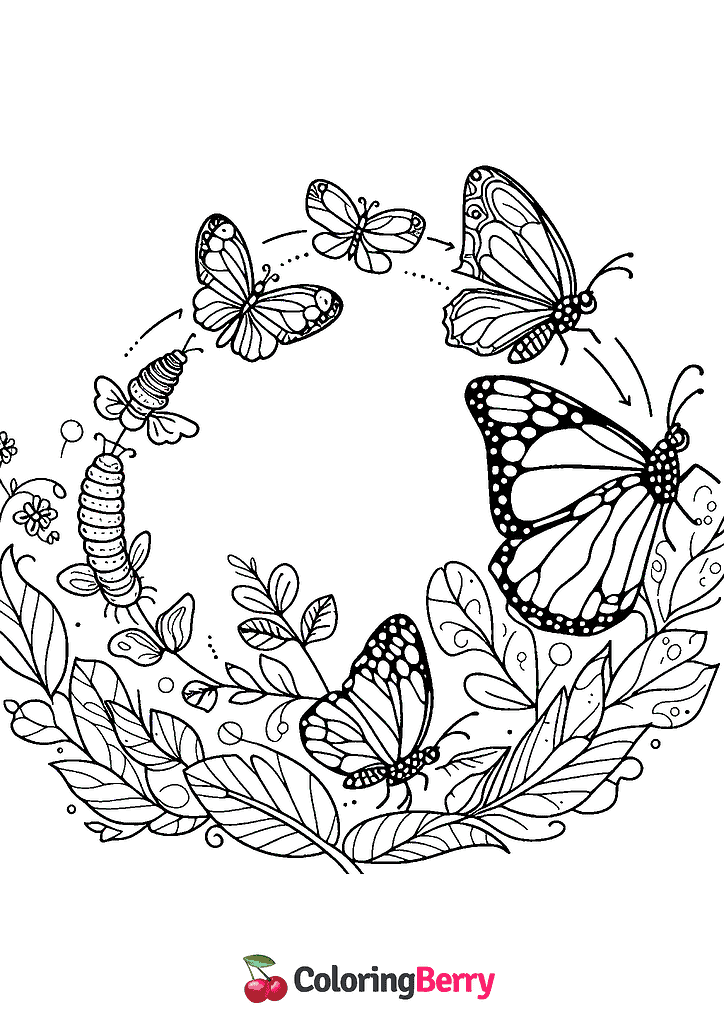 Butterfly Metamorphosis Coloring Page Free PDF Printable 