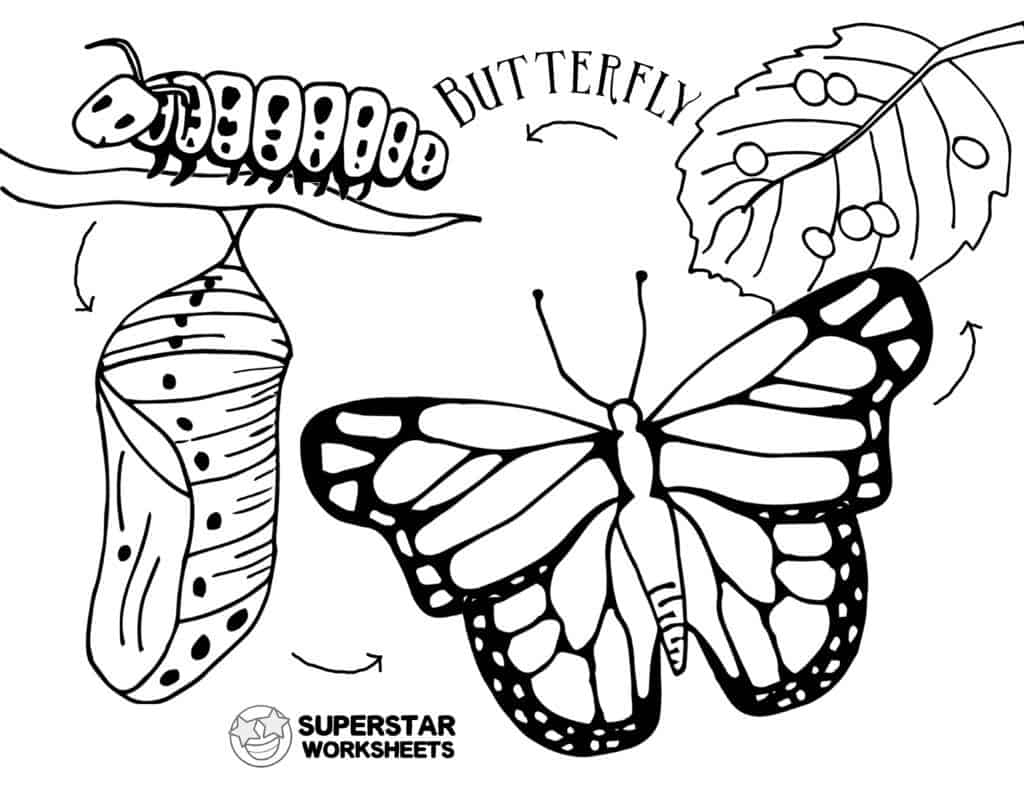 Butterfly Worksheets Superstar Worksheets Butterfly Worksheets Superstar Worksheets