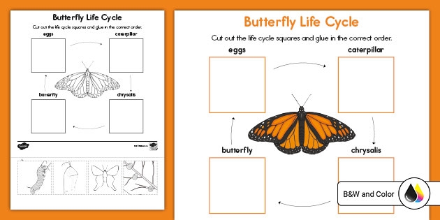 Butterfly Worksheets Superstar Worksheets Worksheets Library Butterfly Worksheets Superstar Worksheets Worksheets Library
