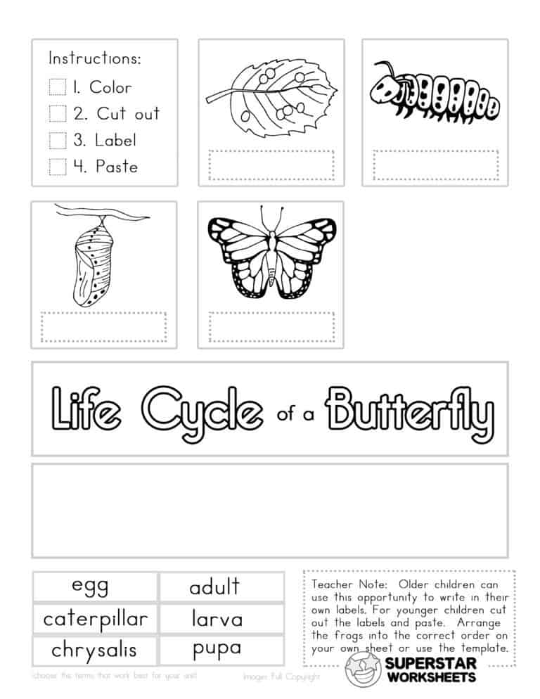 Butterfly Worksheets Superstar Worksheets Butterfly Worksheets Superstar Worksheets
