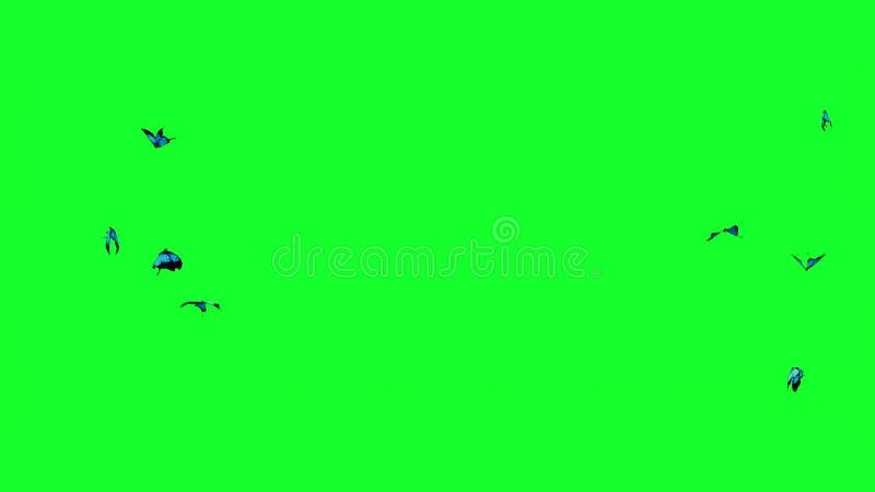 Life Cycle of a Buttrfly Life Cycle of a Buttrfly