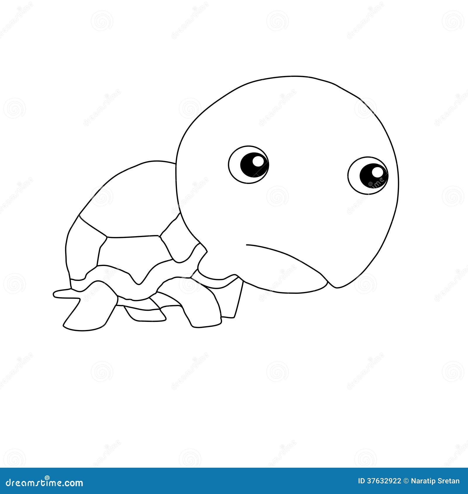 Cartoon Drawings Of Animals Stock Photography Image 37632922 Cartoon Drawings Of Animals Stock Photography Image 37632922