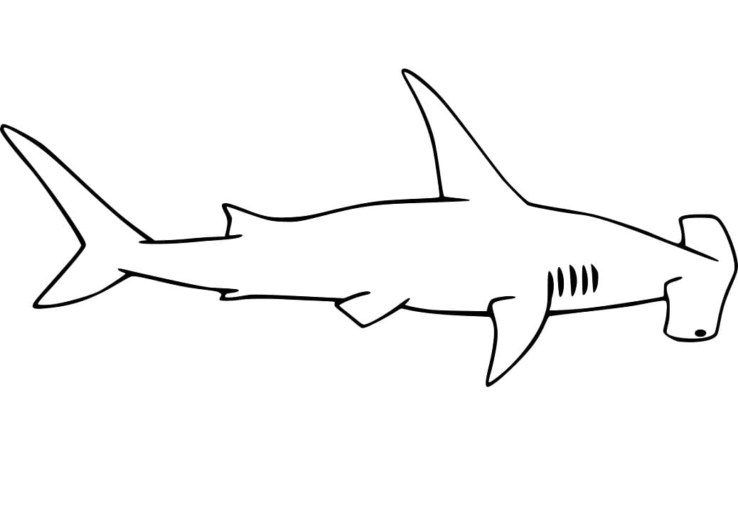 Cartoon Hammerhead Shark Coloring Page Free Printable Coloring Pages Cartoon Hammerhead Shark Coloring Page Free Printable Coloring Pages