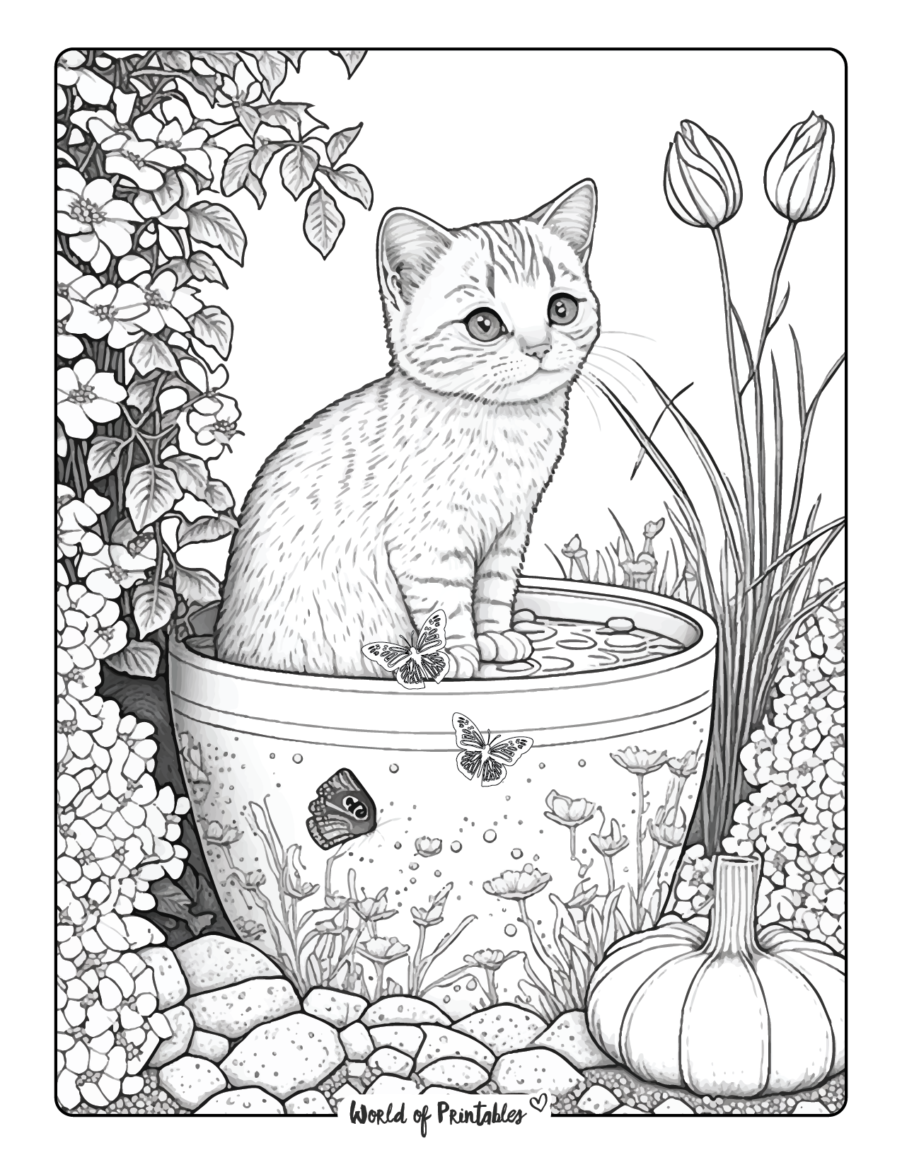 Cat Colouring Pages For Kids Printable Free Coloring Sheet Printables Cat Colouring Pages For Kids Printable Free Coloring Sheet Printables
