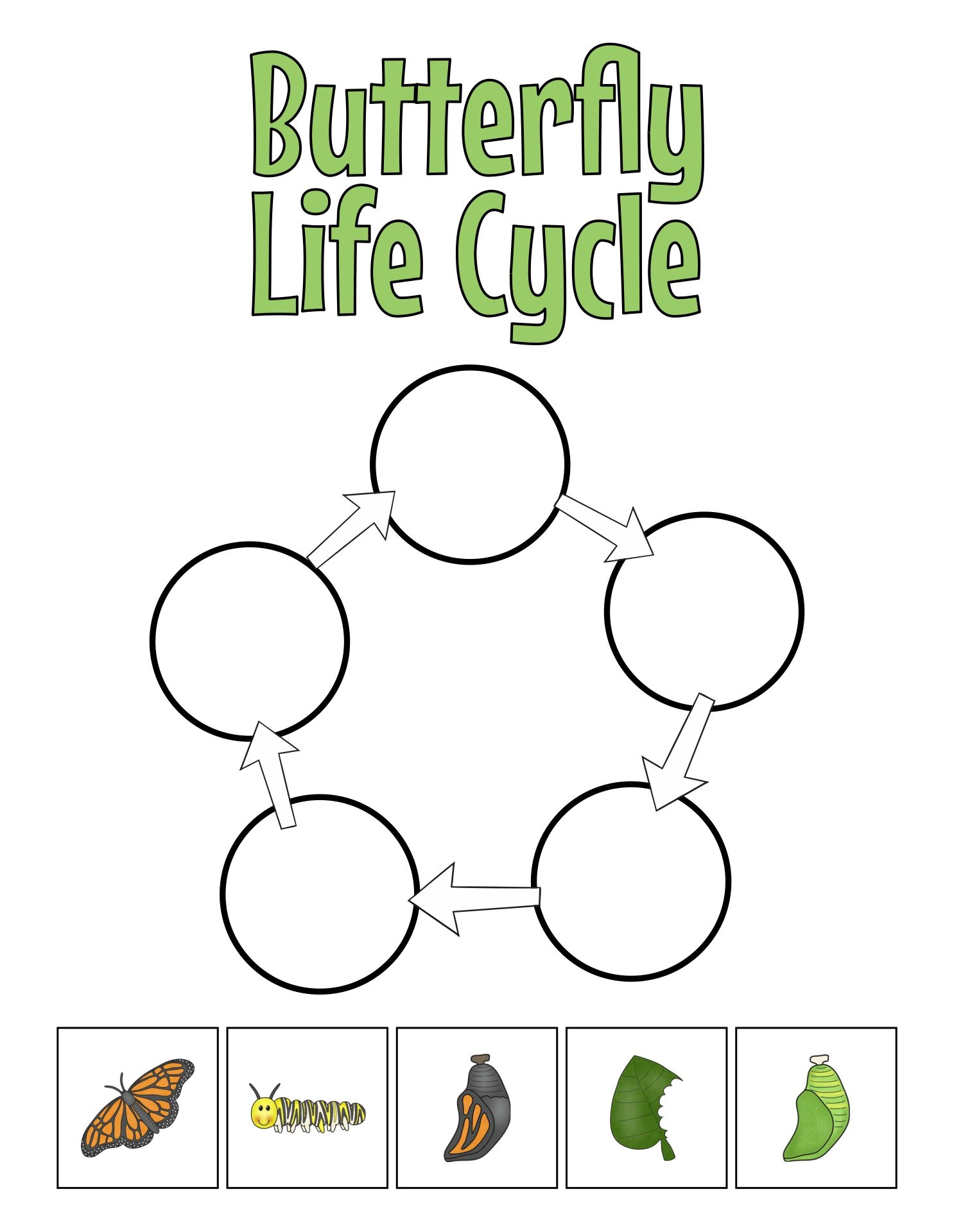 Caterpillar Life Cycle Worksheet Printable Word Searches Caterpillar Life Cycle Worksheet Printable Word Searches