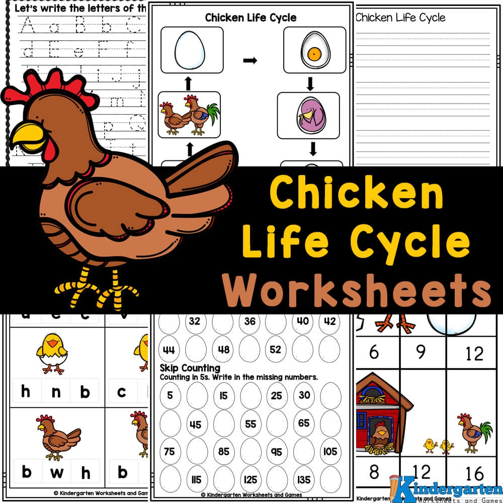 Chicken Life Cycle Printable Worksheets Library Chicken Life Cycle Printable Worksheets Library