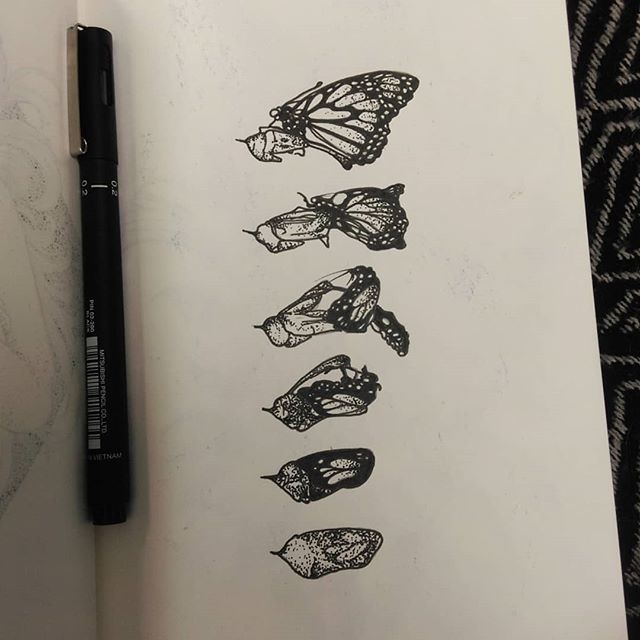 Chrysalis Butterfly Life Cycle Tattoo