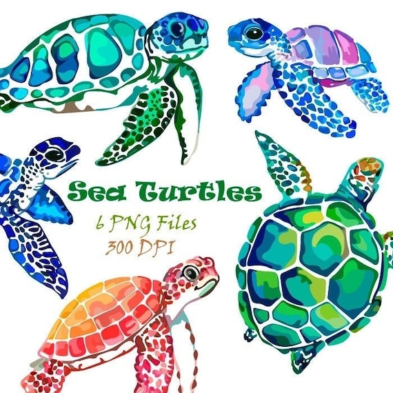 Clipart Sea Turtles Colored Turtles Sea Turtles PNG Etsy Clipart Sea Turtles Colored Turtles Sea Turtles PNG Etsy