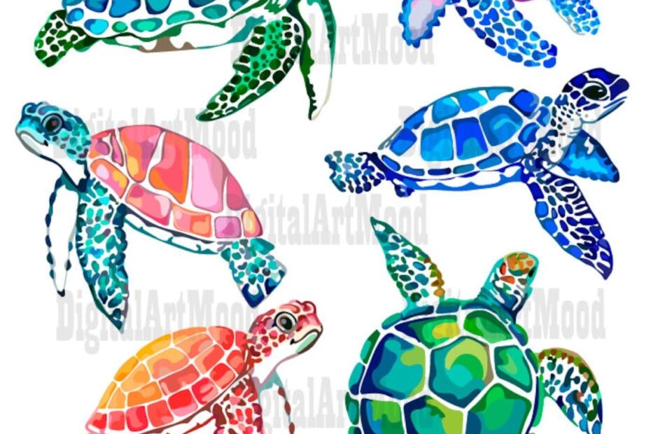 Clipart Sea Turtles Colored Turtles Sea Turtles PNG Etsy