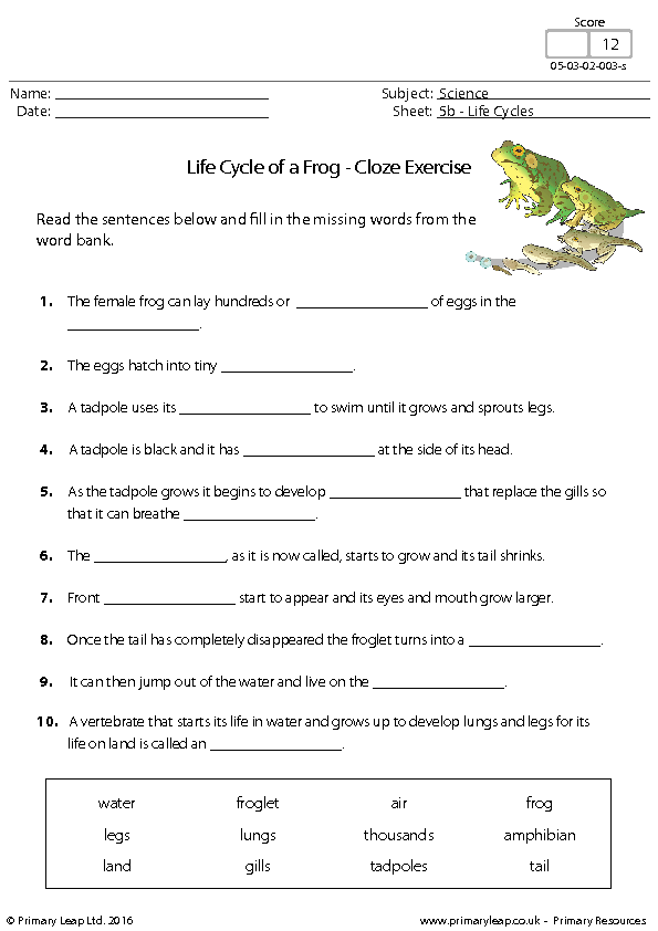 Cloze Activity Life Cycle Of A Frog Cloze Activity Life Cycle Of A Frog
