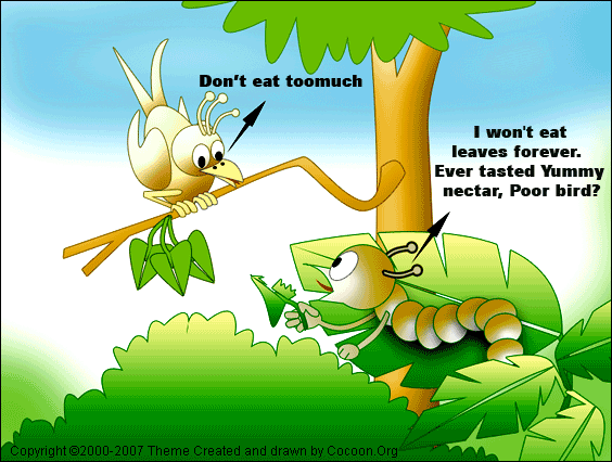 COCOON BUTTERFLY CARTOONS Cocoon Articles And Butterfly Life Cycle COCOON BUTTERFLY CARTOONS Cocoon Articles And Butterfly Life Cycle