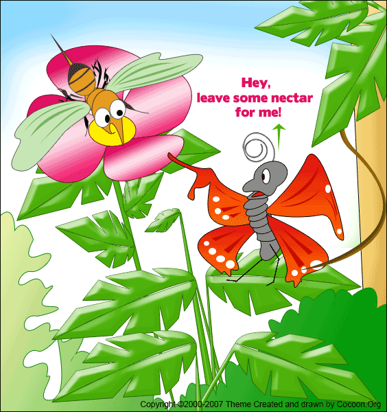 COCOON BUTTERFLY CARTOONS Cocoon Articles And Butterfly Life Cycle