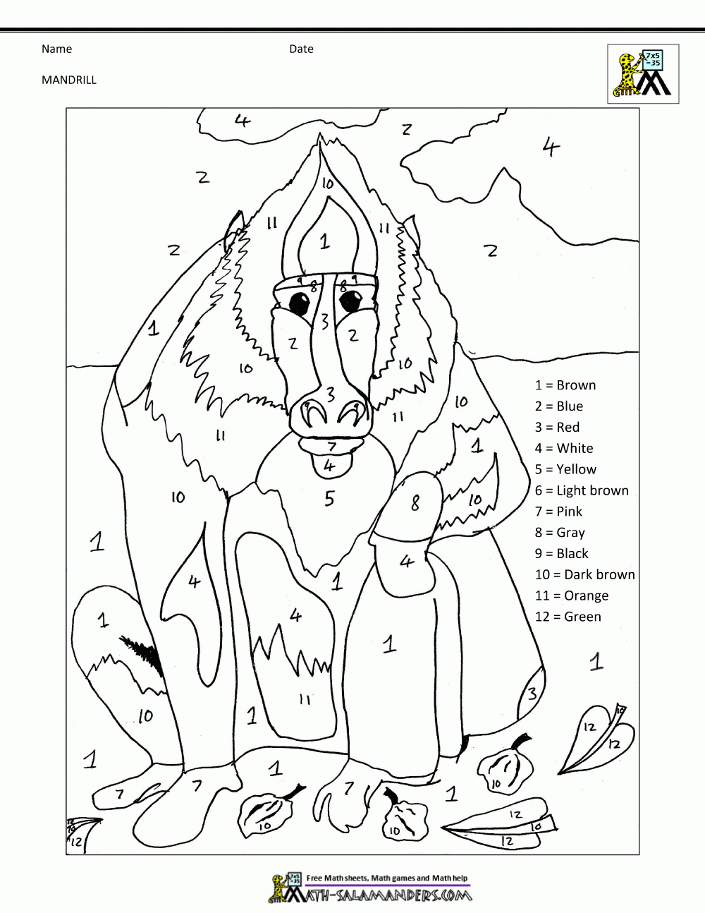 color animal color animal