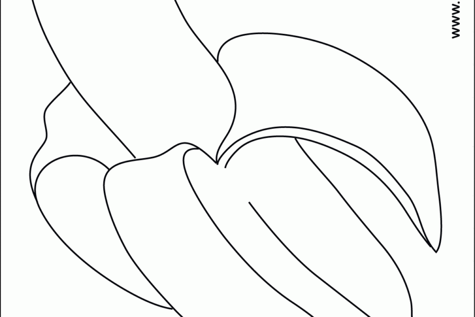 Color Yellow Coloring Sheet Coloring Pages