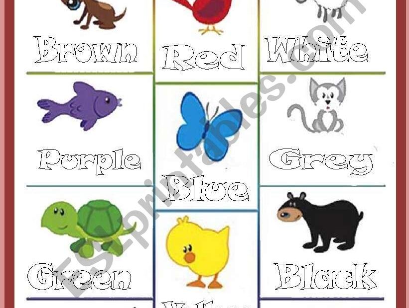 Colored Animals editable ESL Worksheet By Marinaru