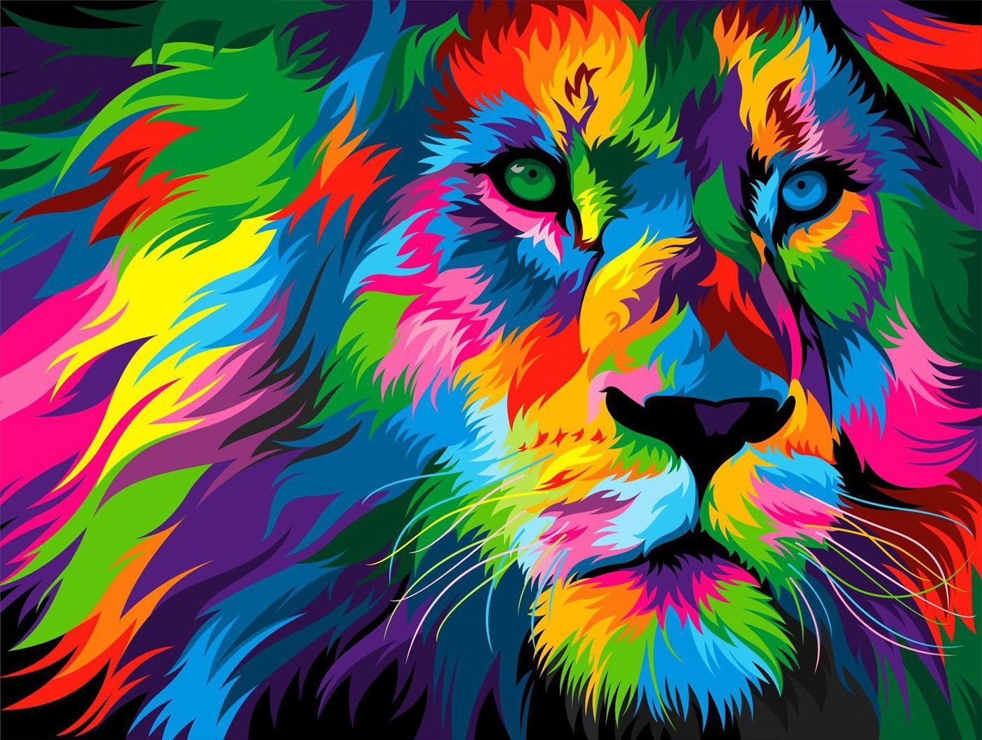 Colorful Animal Wallpapers 4k HD Colorful Animal Backgrounds On Colorful Animal Wallpapers 4k HD Colorful Animal Backgrounds On