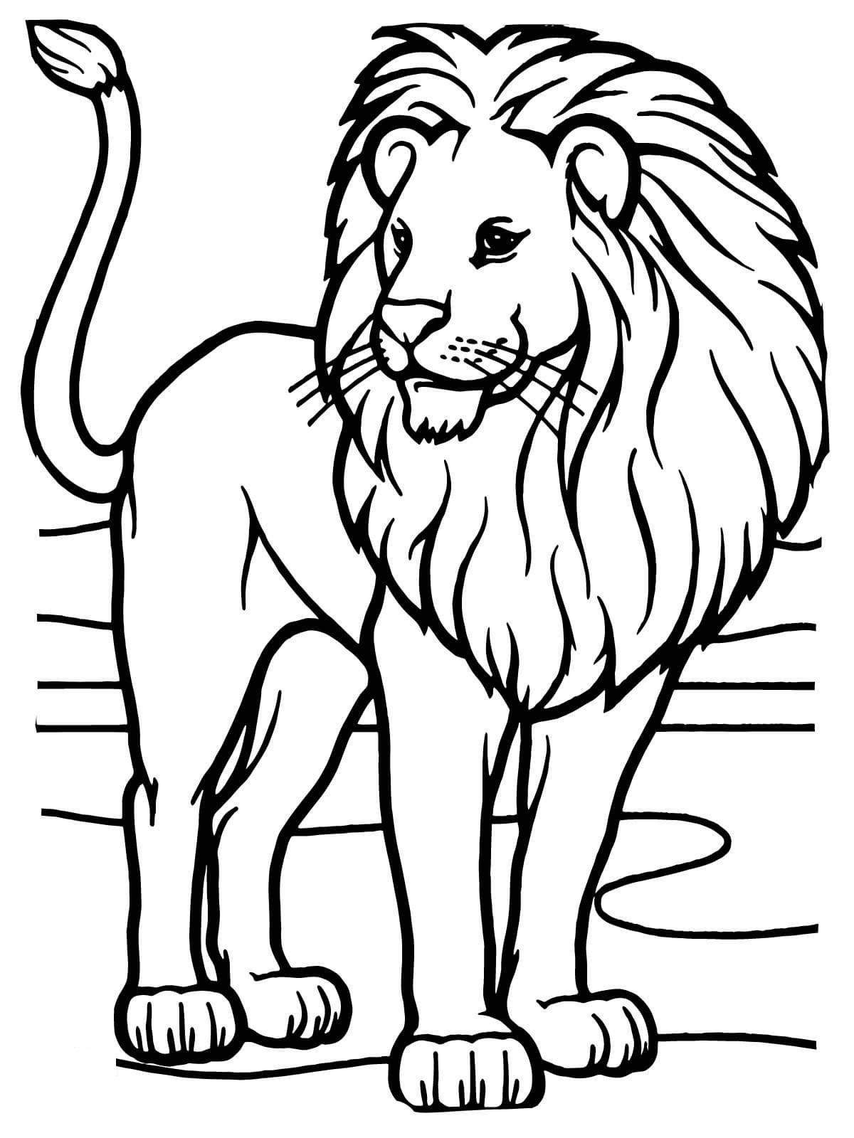 Coloring Pages African Animals Coloring Pages African Animals