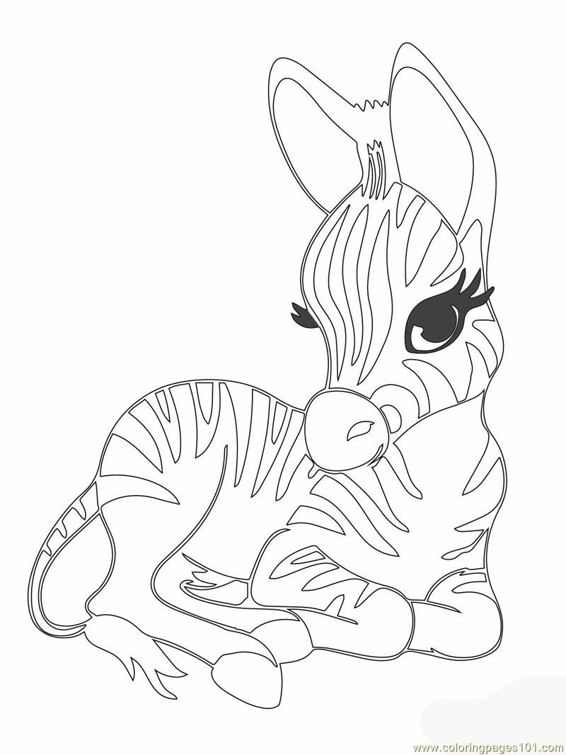 Coloring Pages Cute Baby Animals Coloring Home Coloring Pages Cute Baby Animals Coloring Home