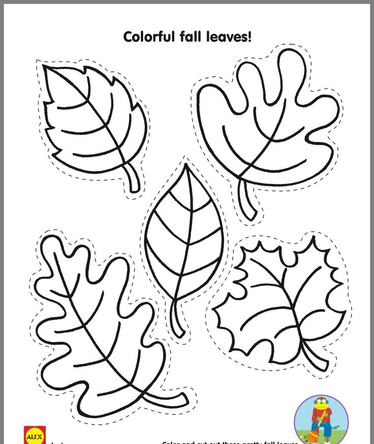 Coloring Pages Fall Leaves Ready For Download Coloring Pages Fall Leaves Ready For Download