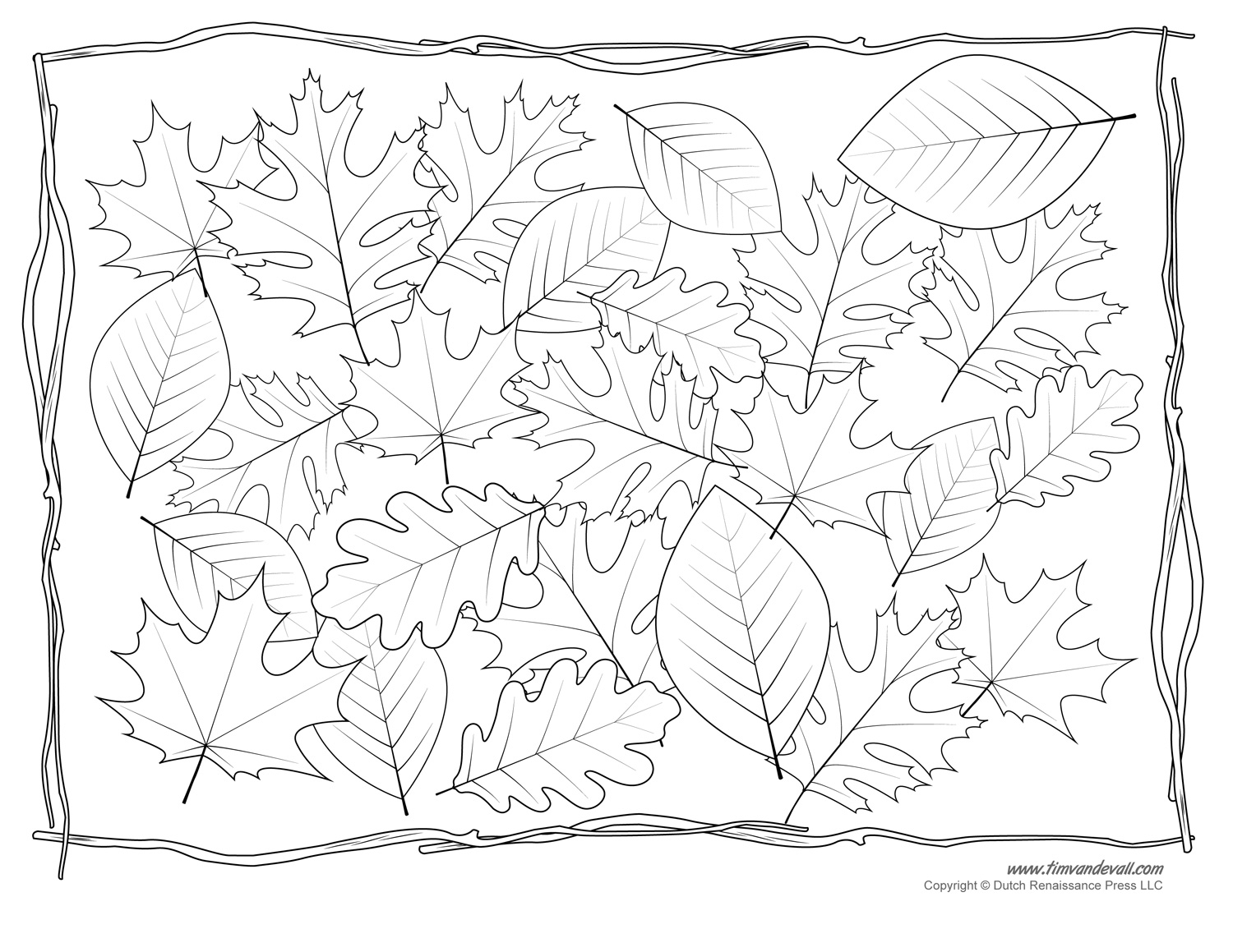 Coloring Pages Leaves Coloring Pages Leaves