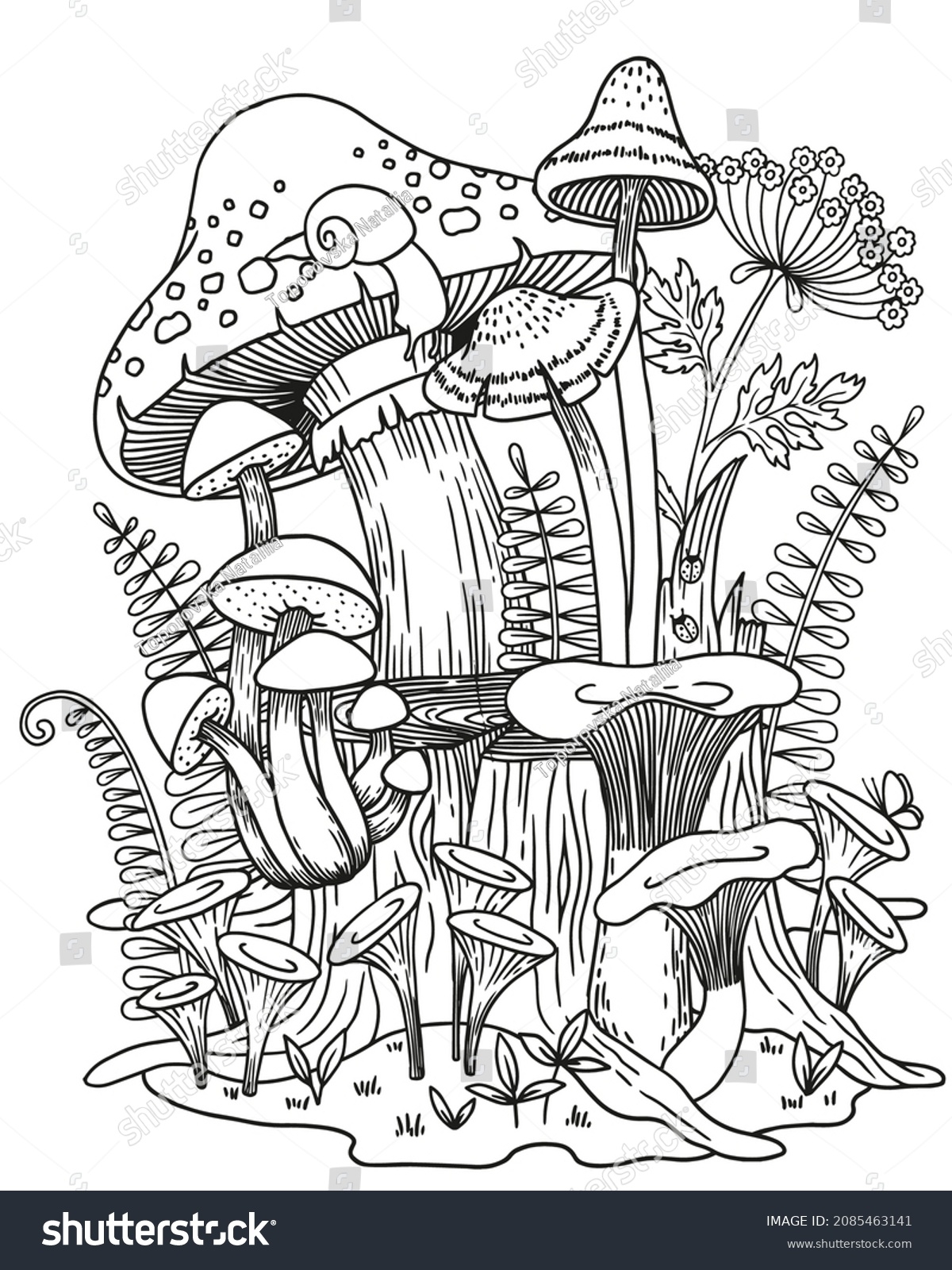 adult coloring pages mushrooms adult coloring pages mushrooms