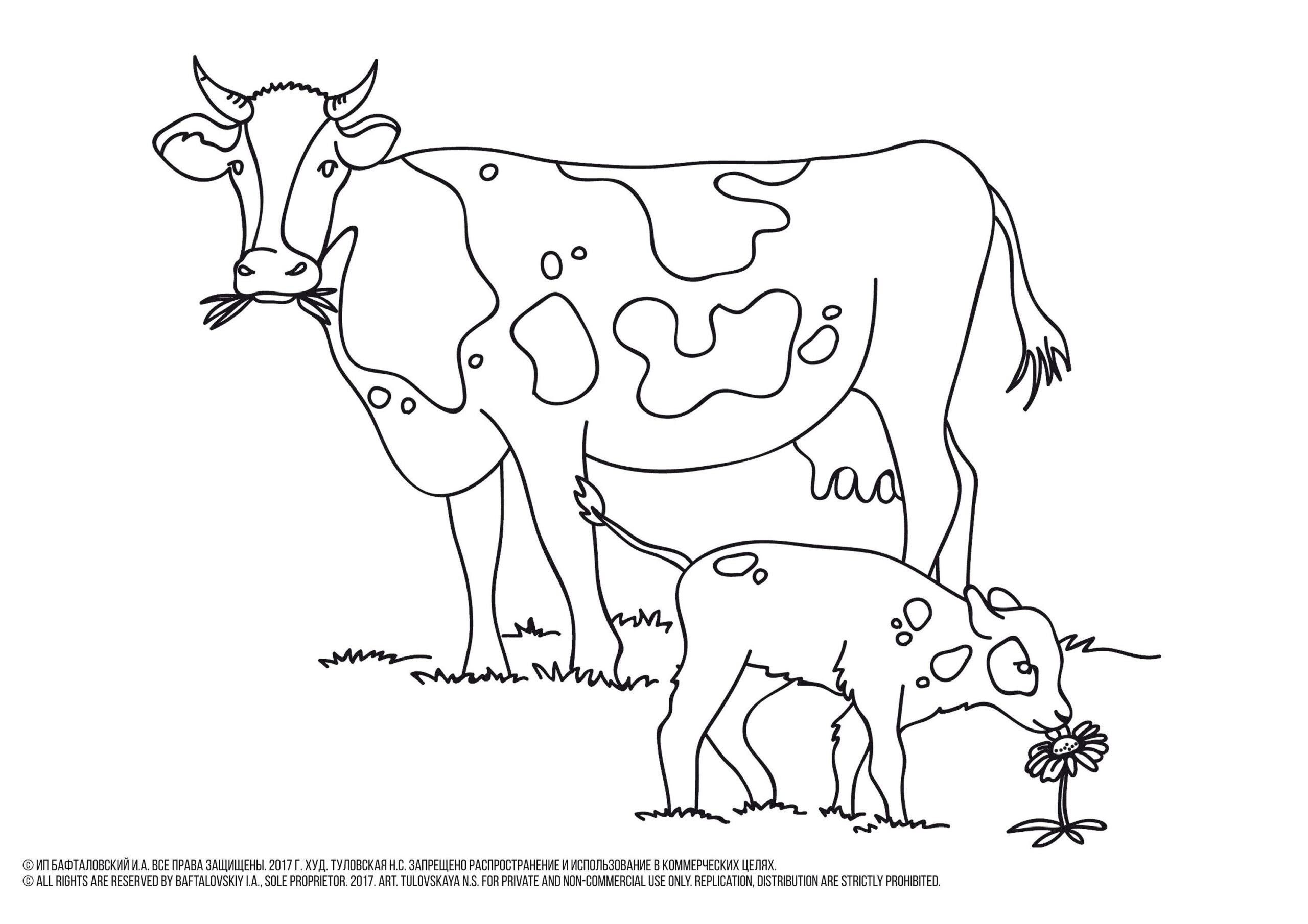 Coloring Pages Of Cows Free Printable Free Printable Vrogue co Coloring Pages Of Cows Free Printable Free Printable Vrogue co