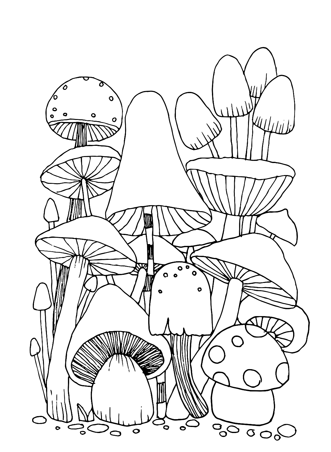 mushroom coloring sheet mushroom coloring sheet