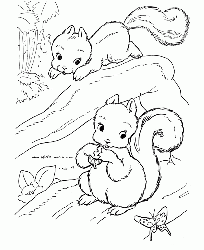 Coloring Pages Of Wild Animals Coloring Home Coloring Pages Of Wild Animals Coloring Home