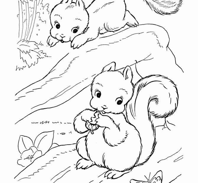 Coloring Pages Of Wild Animals Coloring Home