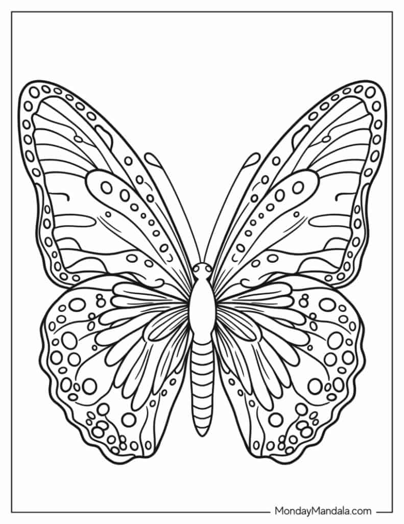 Coloring Sheet Butterfly