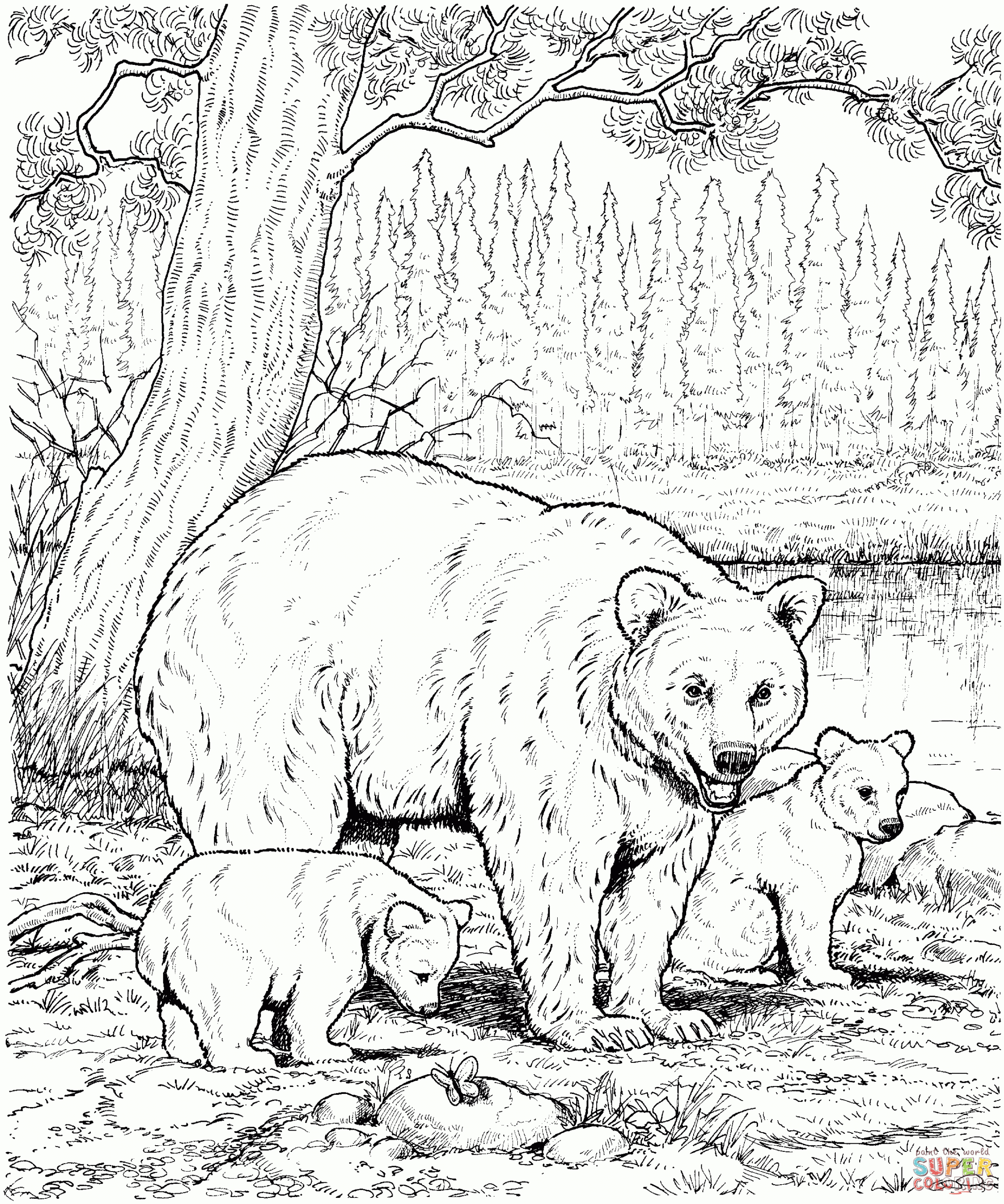 Coloring Woodland Animal Coloring Pages Image Inspirations Free Coloring Woodland Animal Coloring Pages Image Inspirations Free