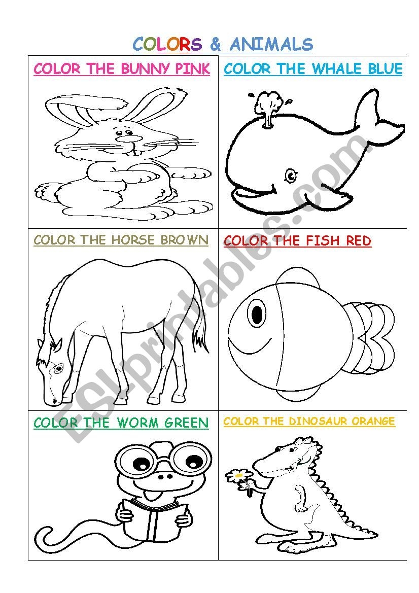 Colors Animals ESL Worksheet By Mspena1 Colors Animals ESL Worksheet By Mspena1