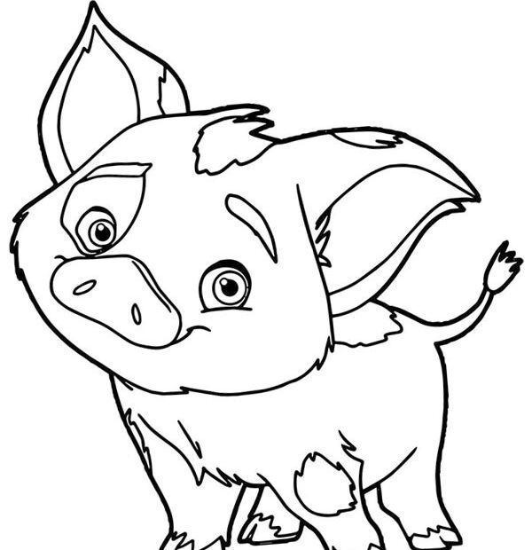 Colouring Page Pua Pig Coloringpage ca