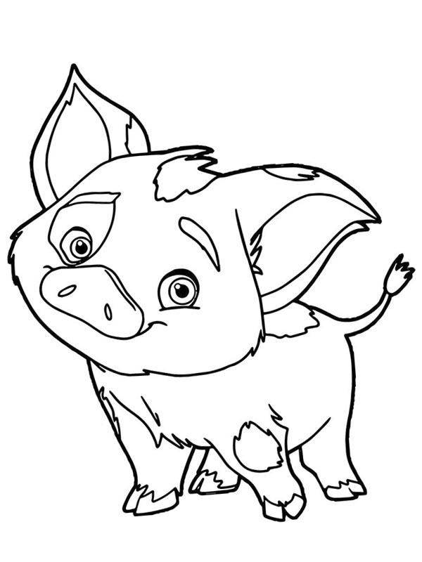 Colouring Page Pua Pig Coloringpage ca Colouring Page Pua Pig Coloringpage ca