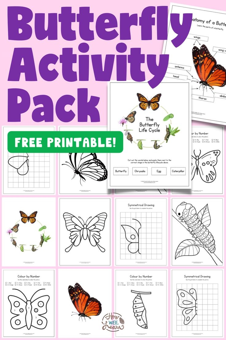 Completely FREE Printable Butterfly Worksheets Ideal For Preschoolers Completely FREE Printable Butterfly Worksheets Ideal For Preschoolers