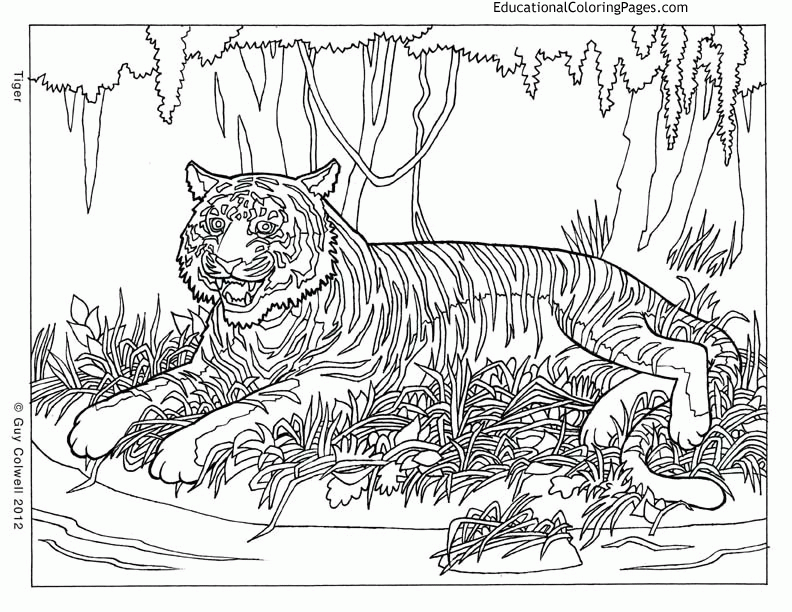 Complicated Animal Coloring Pages Coloring Home Complicated Animal Coloring Pages Coloring Home
