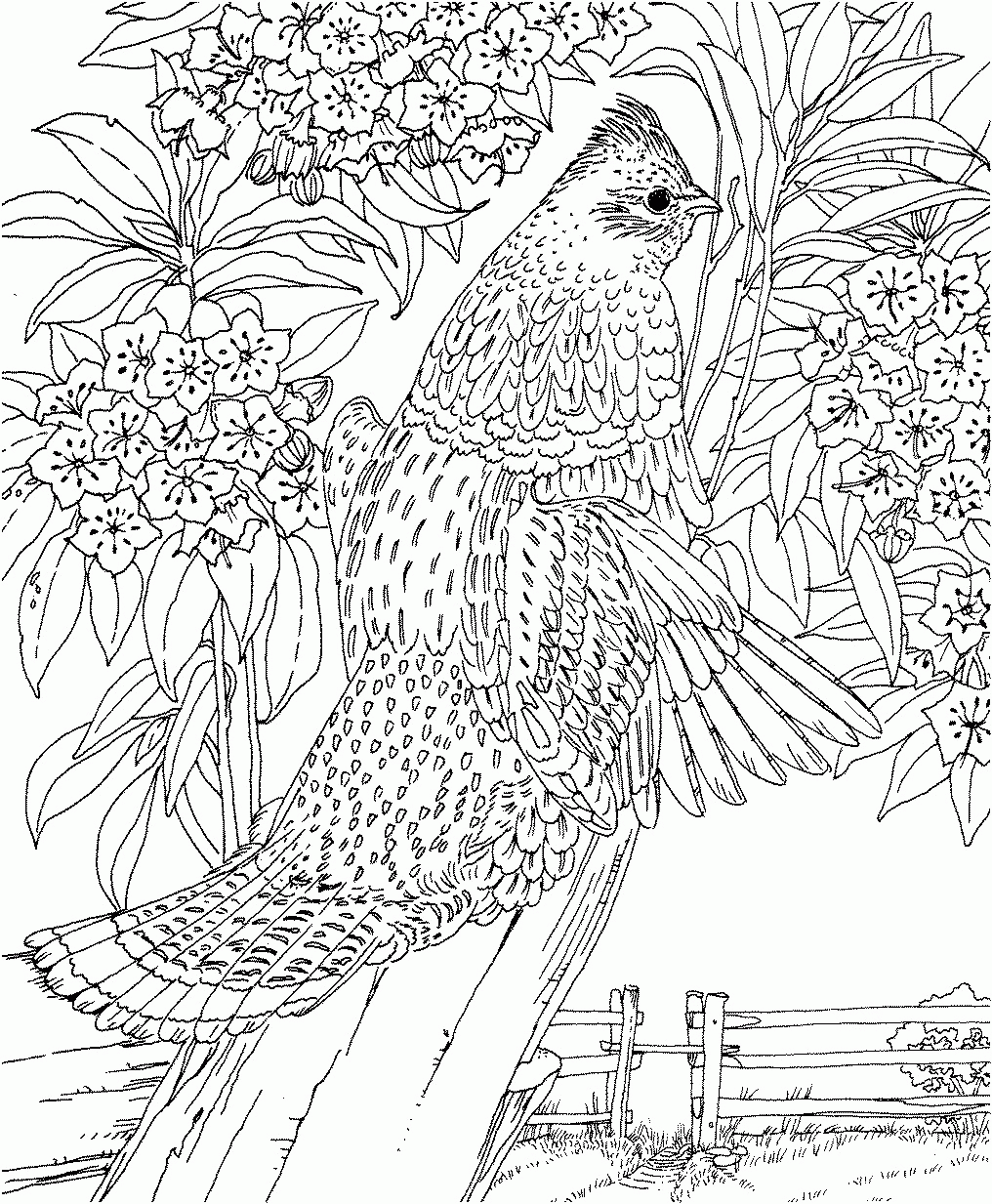 Complicated Animal Coloring Pages Coloring Home Complicated Animal Coloring Pages Coloring Home