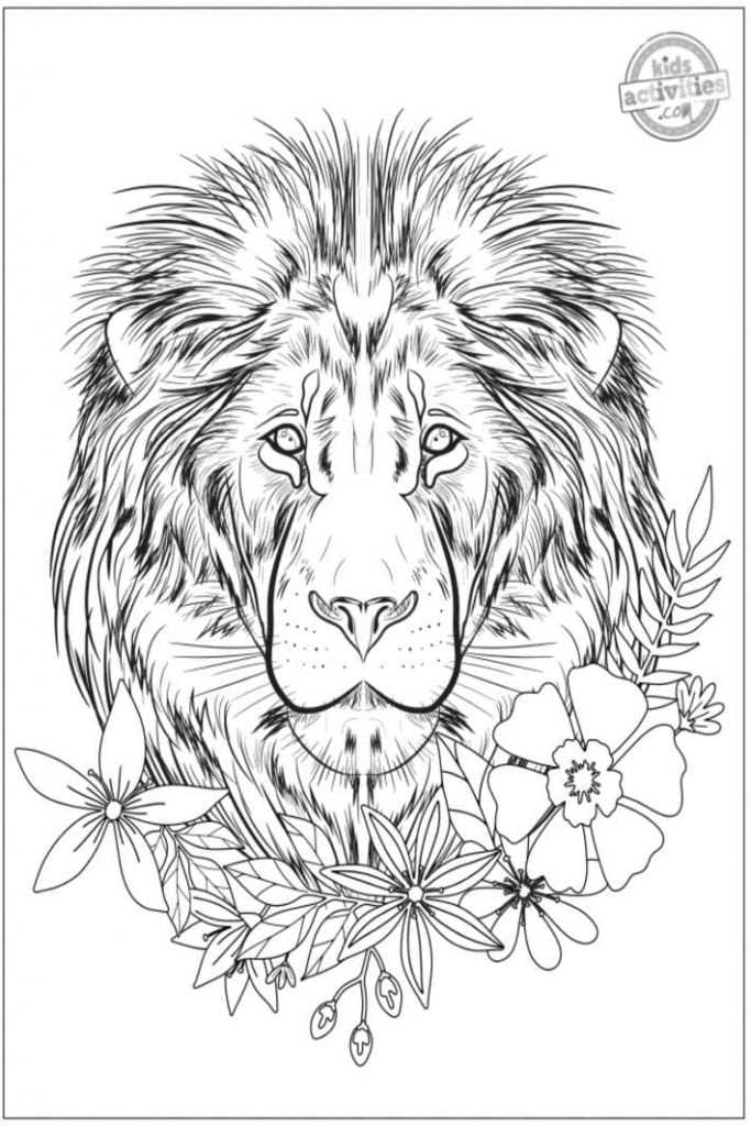 simple adult animal coloring pages simple adult animal coloring pages