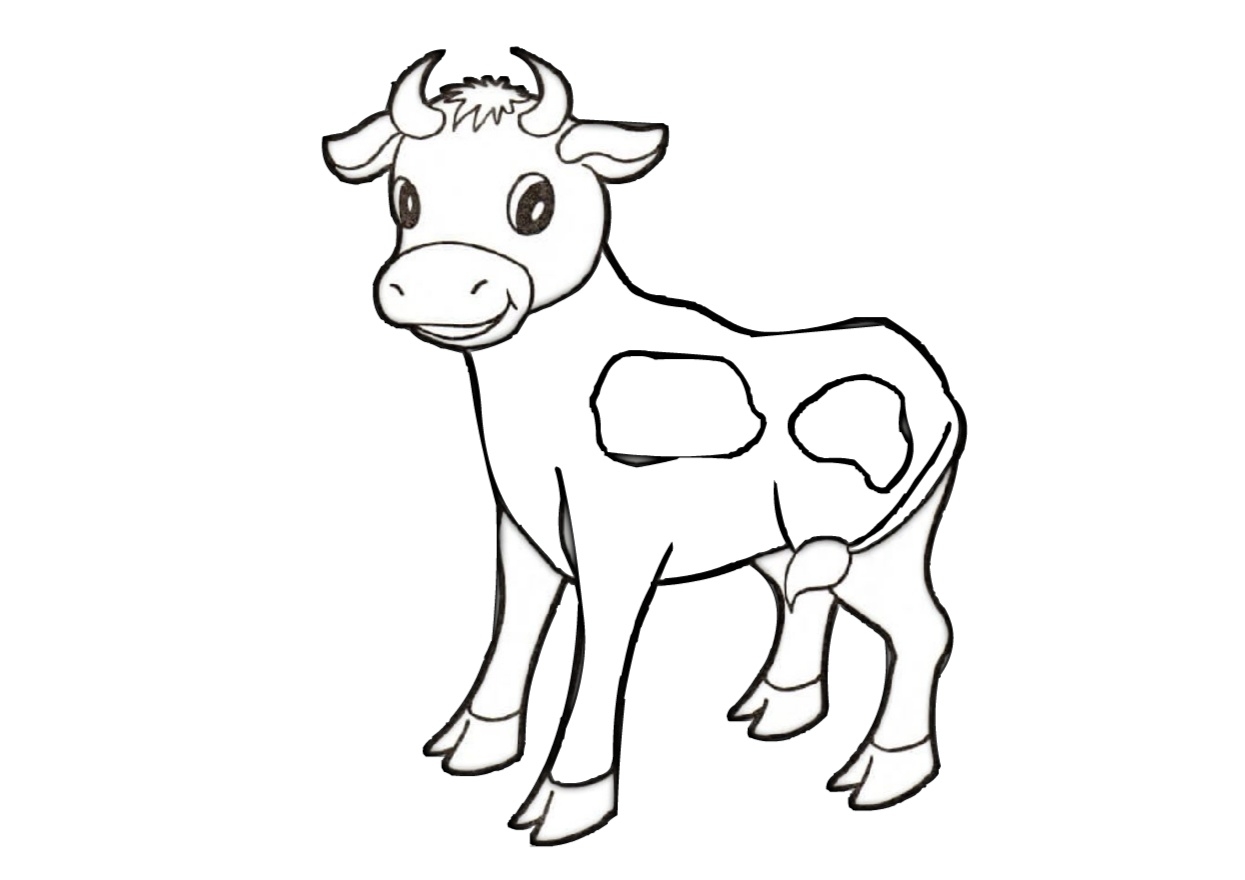 Cow Coloring Page Pdf Coloring Page Cow Cow Printable Coloring Page Images Cow Coloring Page Pdf Coloring Page Cow Cow Printable Coloring Page Images