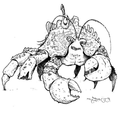 Crab In Moana Coloring Page Turkau Crab In Moana Coloring Page Turkau