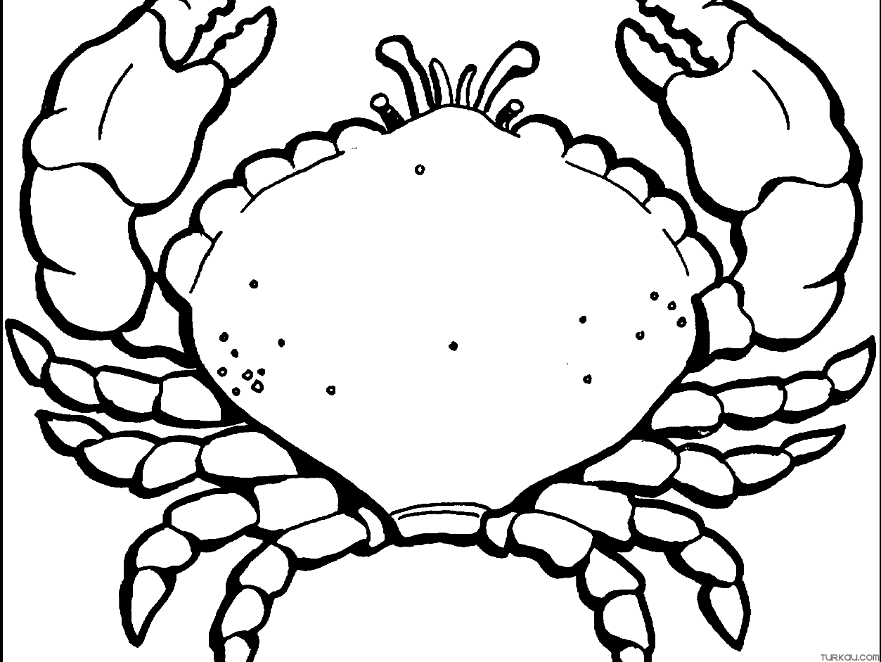 Crab In Moana Coloring Page Turkau Crab In Moana Coloring Page Turkau