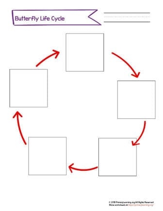 Cut And Paste Butterfly Life Cycle PrimaryLearning Org